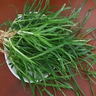 Cỏ Mần Trầu tươi 1kg