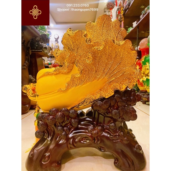 Tượng bắp cải hoa mẫu đơn màu vàng kim sa