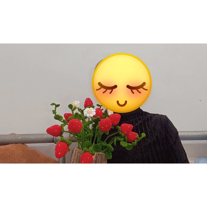 Chậu Cây Cam/Dâu Len Tự Đan DIY Handmade