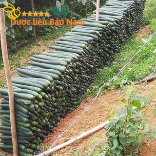 Trà Bí Đao Sấy lạnh, bí đao phơi khô 1kg, 100% không pha tạp, không chất bảo quản, trà bí đao khô loại 1