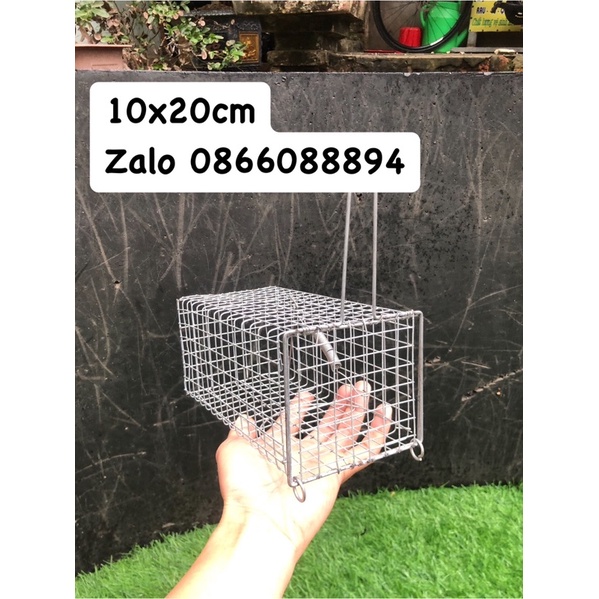 Lồng bẫy chuột,sóc.10x20 chì