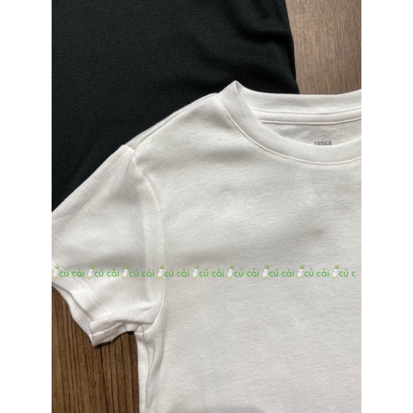 Áo phông unisex 3 màu Ca nifa AH2305