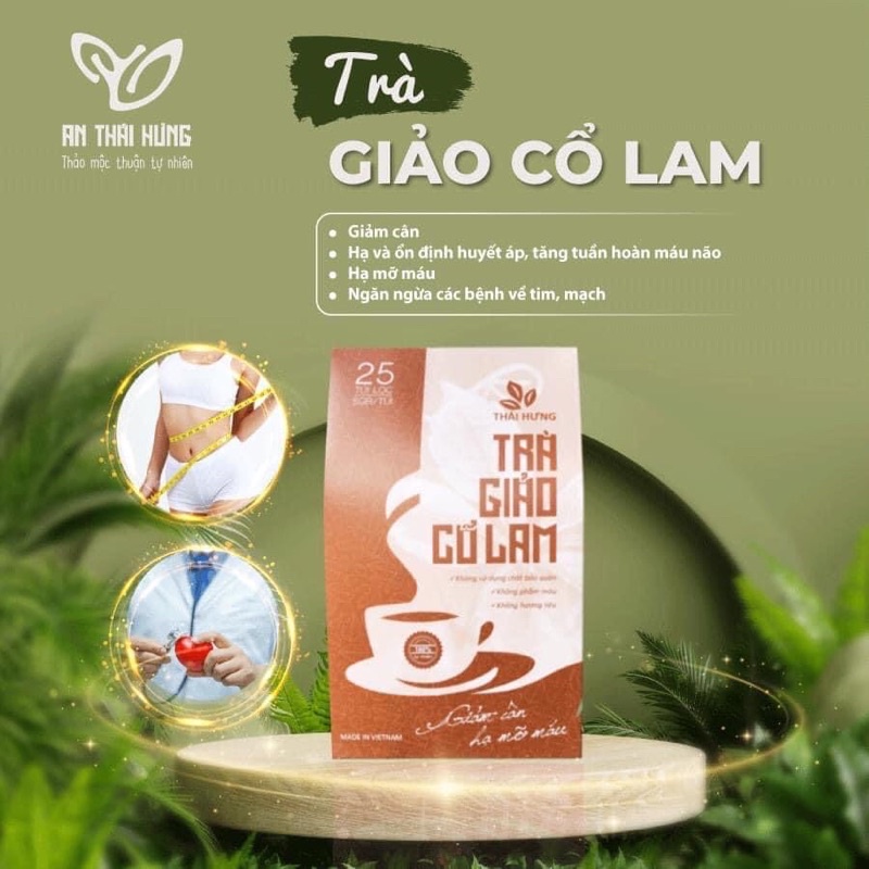 Trà Giảo Cổ Lam Thái Hưng (trà thảo dược, 100% tự nhiên, dạng túi) - hạ mỡ máu, giảm cân