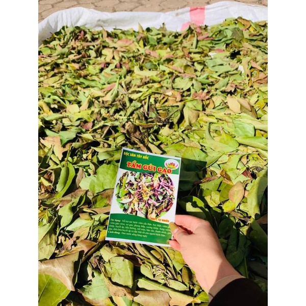 Tầm gửi gạo hàng xịn 1kg không pha tạp