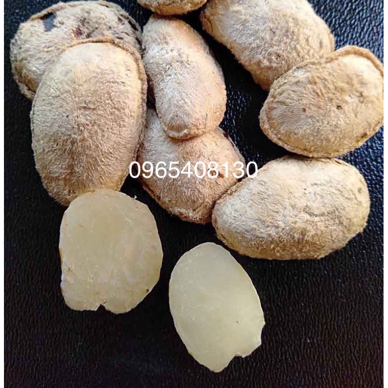 Hạt Sành Hay Còn Gọi Là Hạt Sang (Hạt Dạ dày )