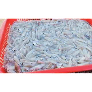 Mắm mực[ Đặc sản Phú Yên ]