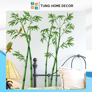 Decal dán tường hàn quốc trang trí phòng ngủ TUNG DECOR XH0779C Cây Trúc Xanh 2T