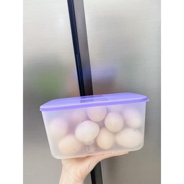 Hộp nhựa đựng thực phẩm ngăn đông gà vịt Tupperware 2.3l nhựa nguyên sinh an toàn sức khoẻ bảo hành trọn đời