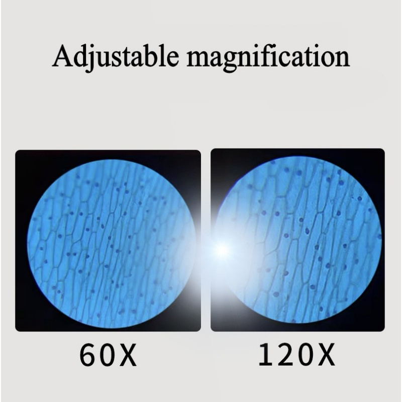 Kính Hiển Vi Cầm Tay Độ Phóng Đại 60-120X Có Đèn LED Chuyên Dụng Cho Phòng Thí Nghiệm