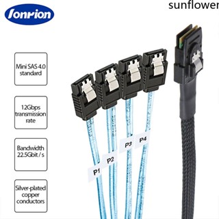 Cáp Dữ Liệu Ổ Cứng Thể Rắn Đầu Thẳng Mini Sas Sff-8087 Đến 4Sata Sas 36P Đến 4sata3.0-Sun. Vn