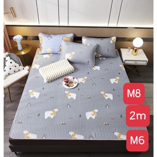 Chiếu điều hòa cao su non tencel hàng loại 1 mát mềm mịn kích thước 1m6,1m8