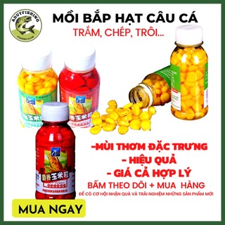 Mồi bắp hạt câu cá, ngô ngâm câu cá