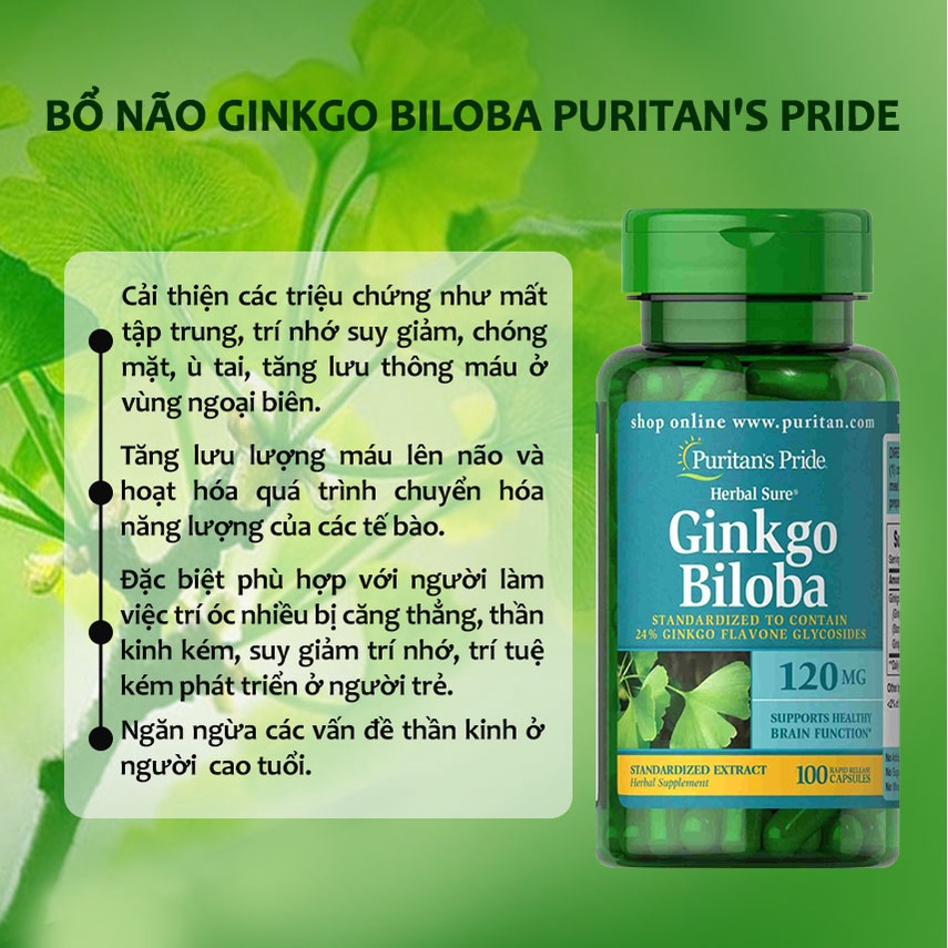 Viên uống bổ não Puritan’s Pride Ginkgo Biloba Standardized Extract 120 mg 100 viên - tuần hoàn não hoạt huyết dưỡng não