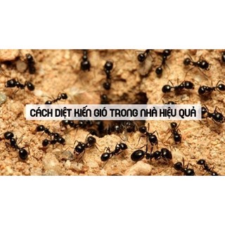 Chế phẩm diệt kiến, gián ANKILL 10g