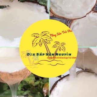 Dừa Sáp loại 1