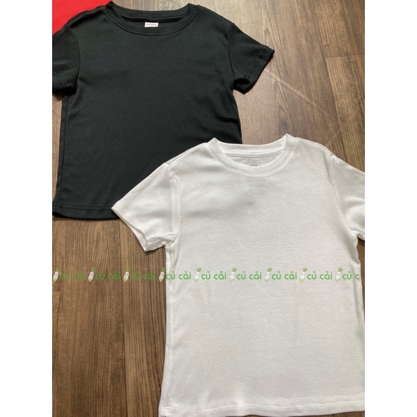 Áo phông unisex 3 màu Ca nifa AH2305