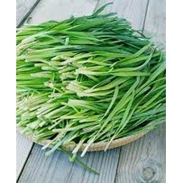 100 Hạt giống rau hẹ ta