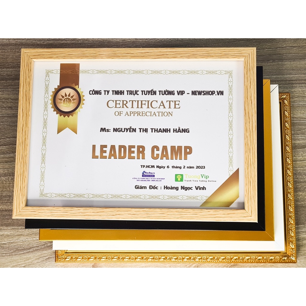 Khung Ảnh - Khung Bằng Khen 21x30cm/ 25x35cm/30x42cm - Khung Vàng, Mặt Mica Treo Tường Để Bàn TƯỜNG VIP