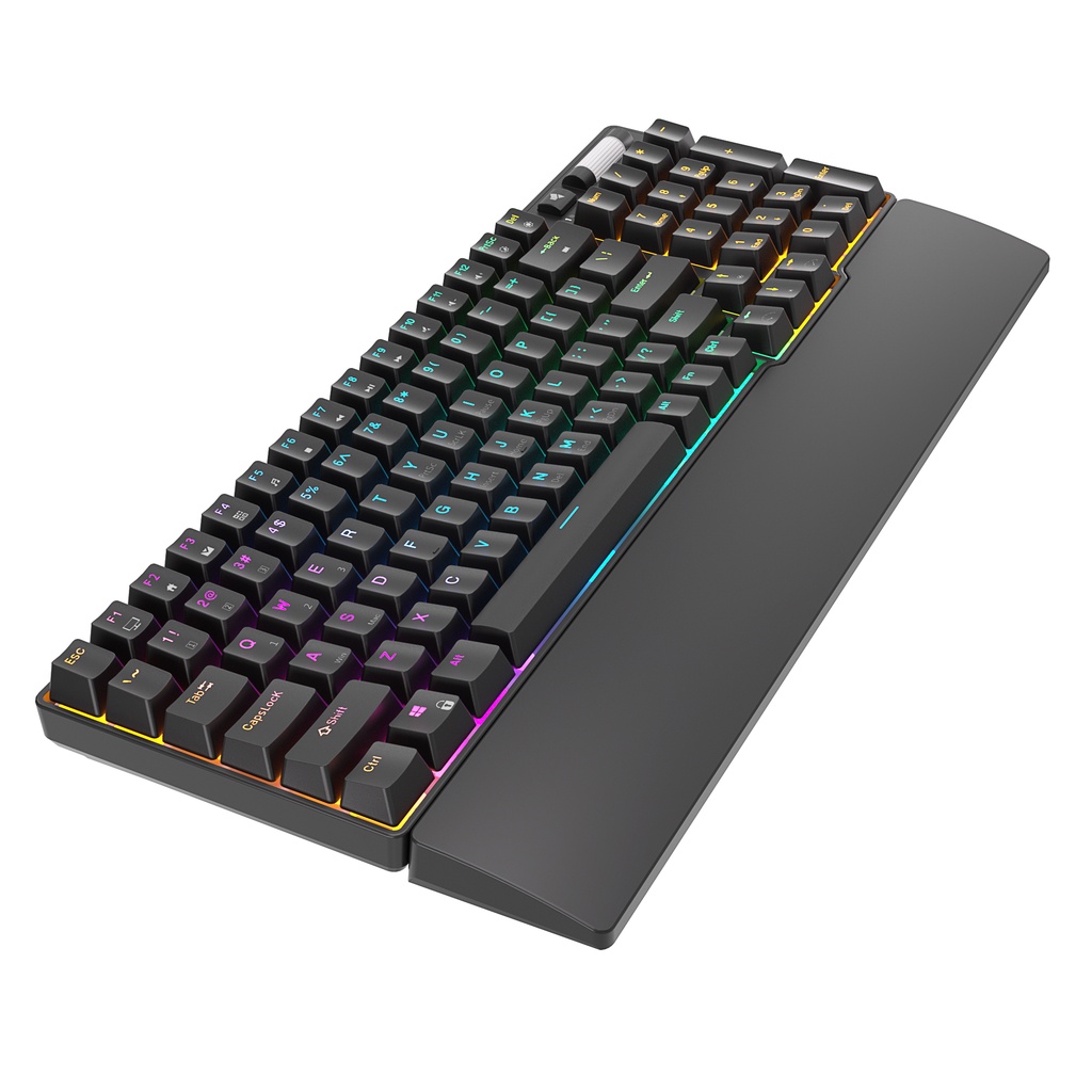 Royal Kludge RK96 Bàn phím cơ khí RGB Hot Swap Gaming Keyboard Bàn phím