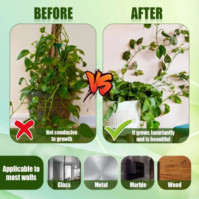 Set 10 Kẹp Cố Định Dây Cáp Tivi Hình Bướm Tự Dính Dễ Lắp Đặt Trang Trí Văn Phòng / Sân Vườn