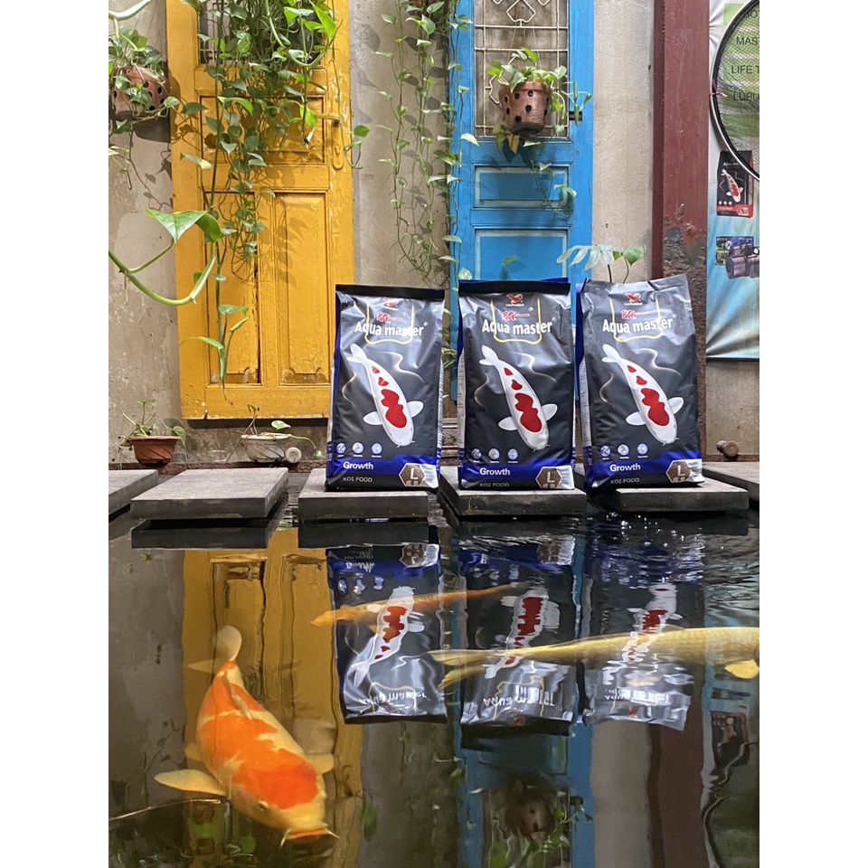 10KG thức ăn tăng trưởng-40%đạm-Growth-AQUAMASTER-Đài Loan-cá lớn nhanh-không đục nước
