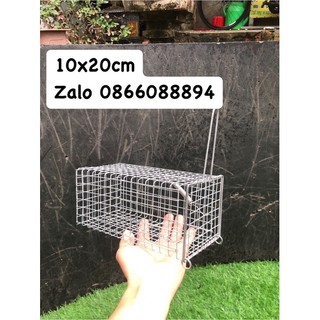 Lồng bẫy chuột,sóc.10x20cm chì