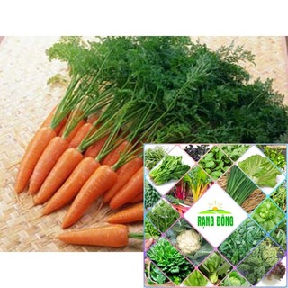 gói 10 gr giống cà rốt HAT F1