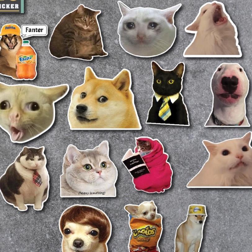 Combo 50 Sticker Meme chống nước sticker dán laptop, điện thoại, đàn guitar, mũ bảo hiểm, vali.
