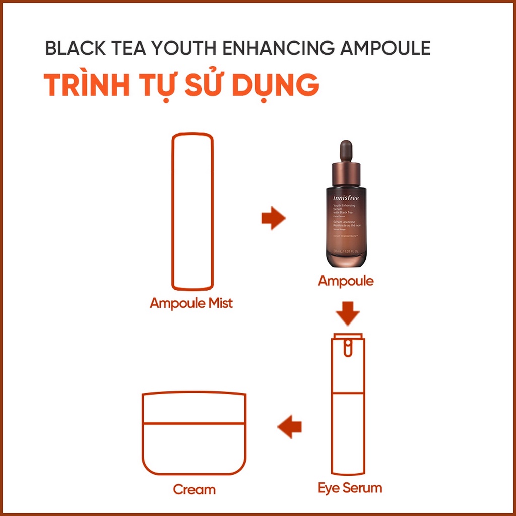 Bộ 6 tinh chất phục hồi da và chống lão hoá trà đen innisfree Black Tea Youth Enhancing Ampoule 5 mL