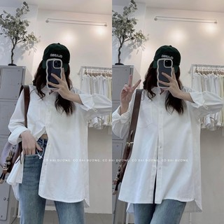 áo sơ mi trơn basic 293