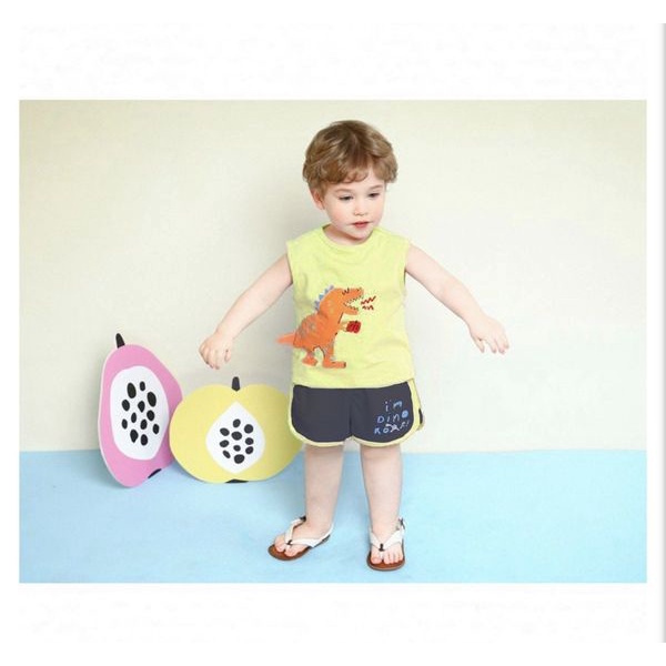 Bộ Milk mile Việt Nam xuất Hàn dư xịn họa tiết khủng long