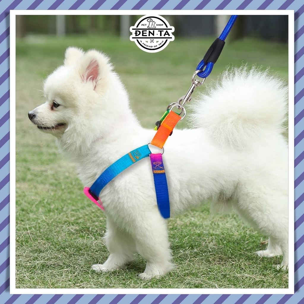 Bộ dây dắt kèm đai đeo vai màu cầu vồng cho chó mèo thú cưng – Đen Ta pet shop