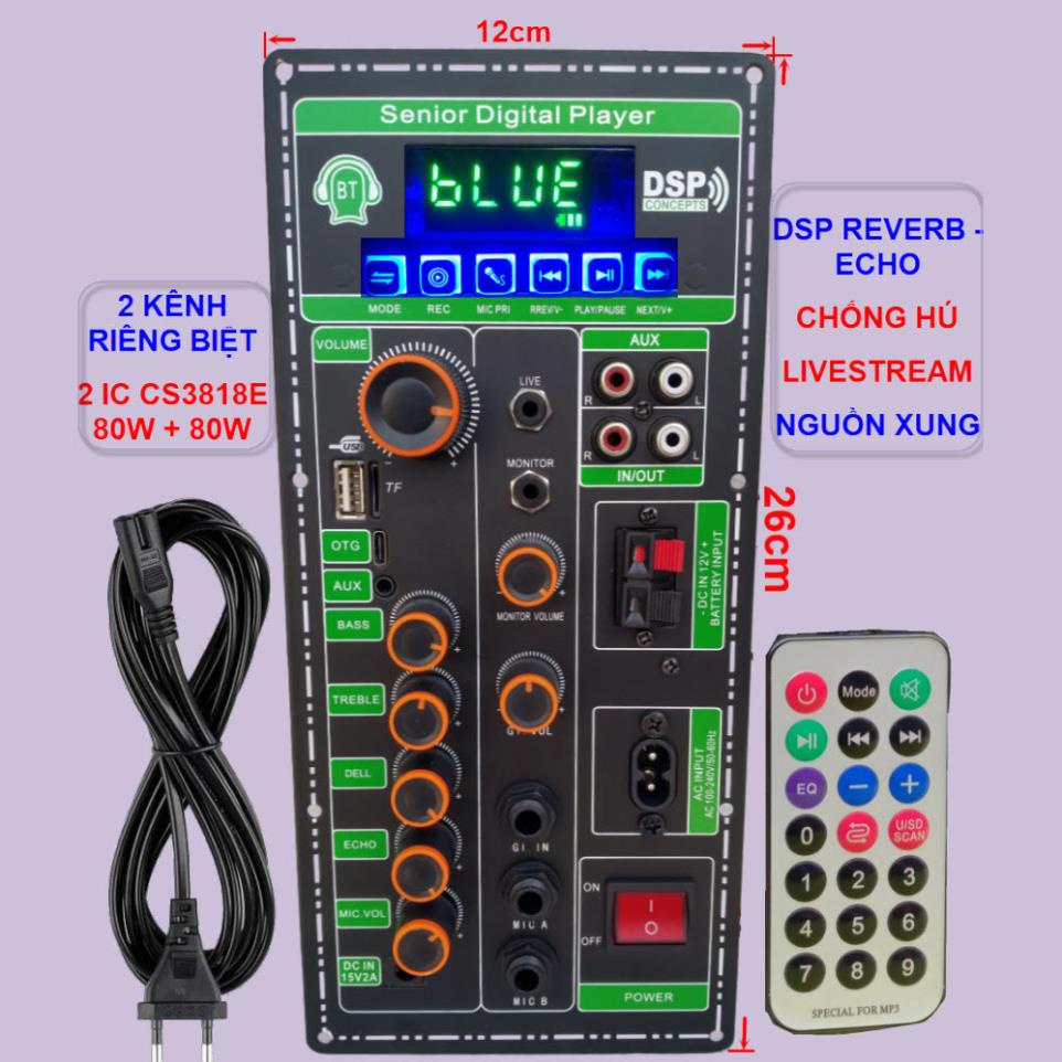 Mạch loa kéo 2 kênh Livestream DSP Reverb – Echo Chống hú 2 IC CS3818E 100W + 100W – Loa kéo 3 tấc đôi