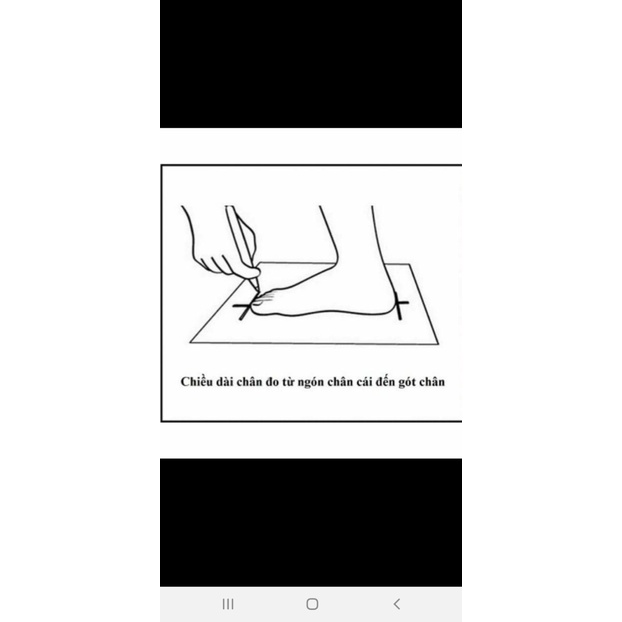 Giày cao gót 5p giày cao gót nữ giày gót trụ nơ đá