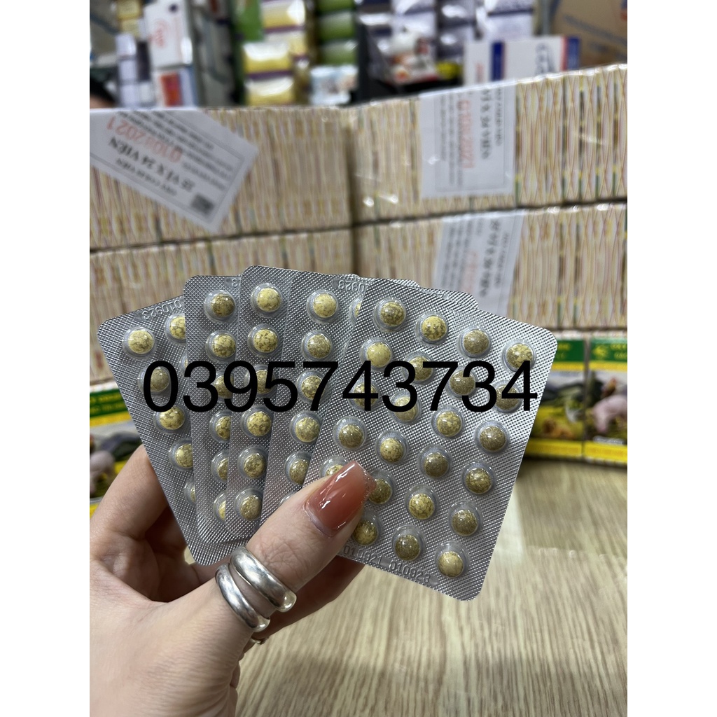 OXY COLIS tiêu chảy gà đá.