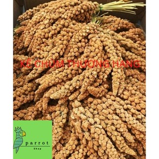 Kê chùm cho chim,vẹt, yến phụng