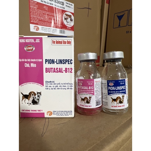 Cặp đôi đ.ặ.c t.r.ị bệnh chó mèo