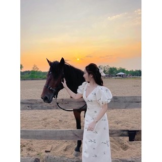 ĐẦM HOA XÔ THÊU CỔ V