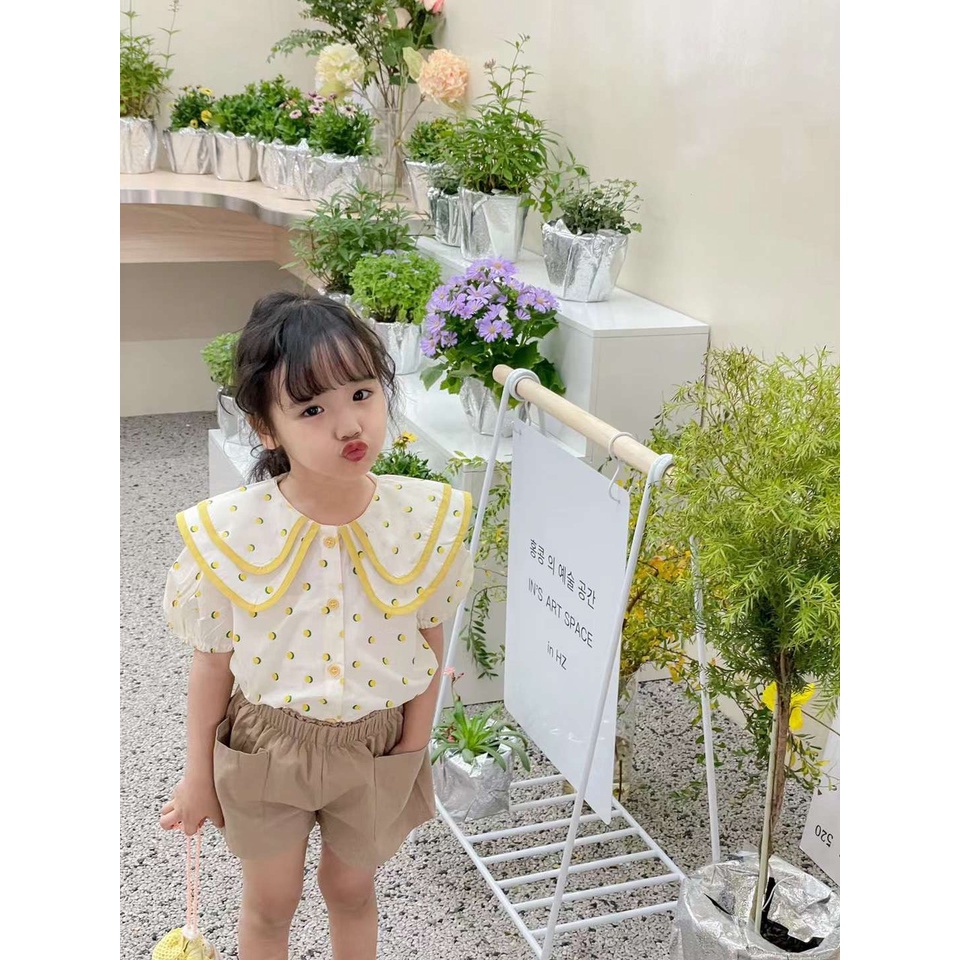 [Hàng QCCC](90-130) Set sơ mi ngắn tay cổ 2 lớp + quần short phong cách Hàn Quốc cho bé gái