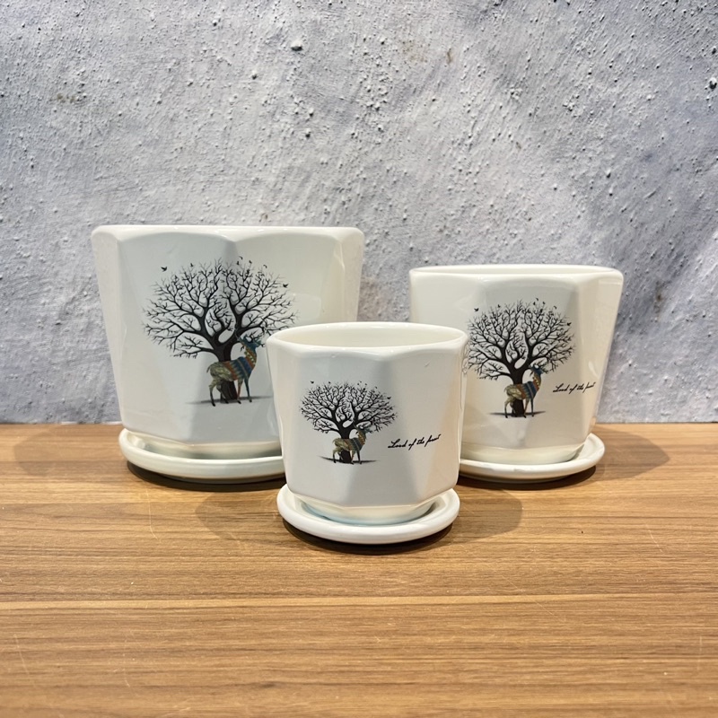 Bộ chậu sứ kèm đĩa hứng nước, Size S và M , chậu trồng cây để bàn, cây phong thuỷ
