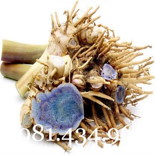 Nghệ đen tươi 01kg chuẩn tốt hay