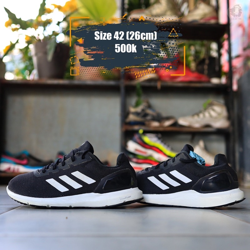 giày chính hãng đã qua sử dụng (adidas)