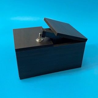Chiếc Hộp vô dụng - Useless Box - Don't Touch Box