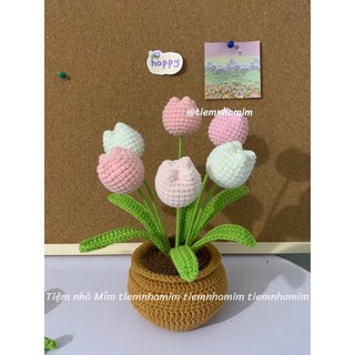 [Ảnh thật] CHẬU HOA TULIP LEN CÁC SIZE HANDMADE