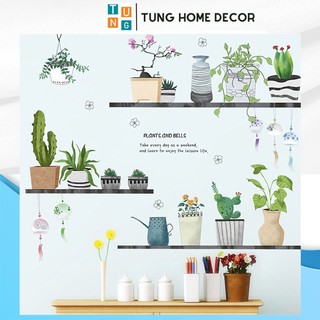 Decal dán tường hàn quốc trang trí phòng ngủ TUNG DECOR XC9055 Kệ Chậy cây Big