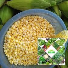 30 Hạt giống ngô ngọt