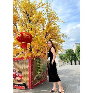 Đầm nhung cổ yếm