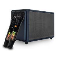 Loa di động Arirang Classic I