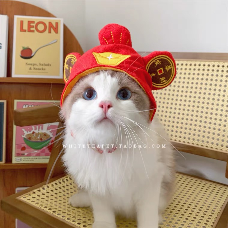 Elsabell. Mũ thú cưng Trọng lượng nhẹ Polyester Mềm mại Thoải mái di động mèo dễ thương cho chó