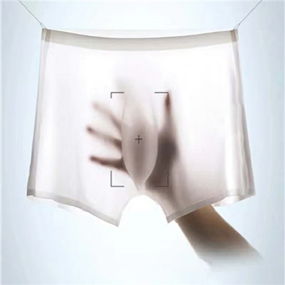 Underwear Boxer Briefs Bulge Punch Ice Silk Knickers Light Blue Light Gray Mesh